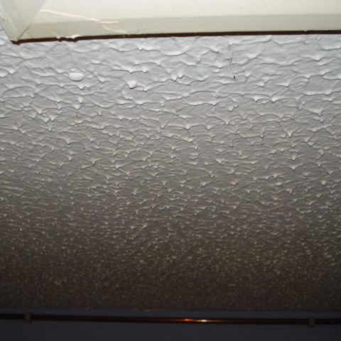 Textured Coating Such As Artex